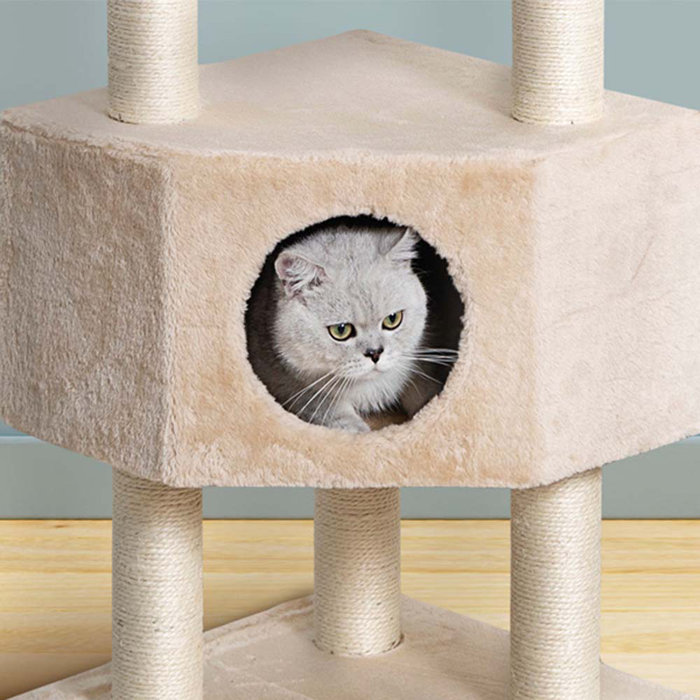 Go Pet Club 51" Cat Tree & Reviews Wayfair